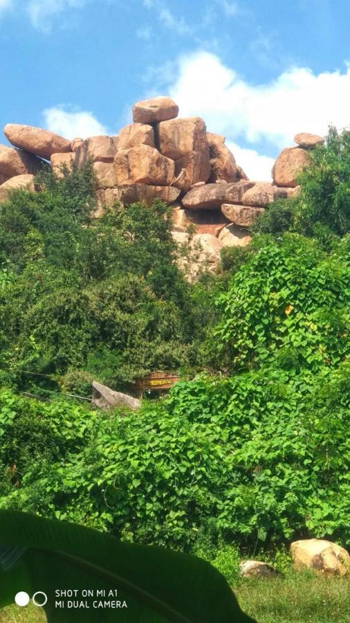 Om Shanti Om Homestay Hampi Bagian luar foto